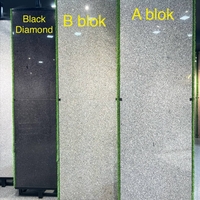 Ko'ksaroy granitlari