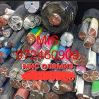 Mis almen lotun olmiz 24/7