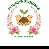 Pituniya flowers Admini