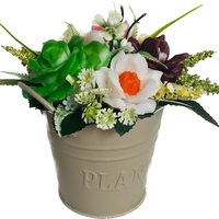 Och yashil mox atirgul