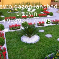 Gazon ekish hizmati tayor rulonik ekamiz yevro gazon lanshaft dizayin 