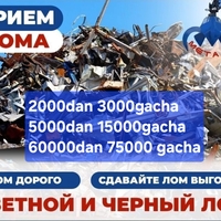 Mis olamiz Metalom. Metallalom olamiz. 
