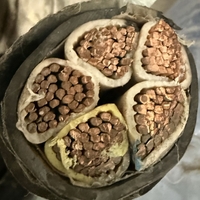 Mis olamiz мис оламиз 