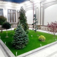 Yevro gazon tayor rulon ekamiz yevro uruglari bor