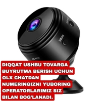 Bishkekdagi imtiyozli dostlar doggy uslubidagi jojalarning fotosuratlari