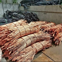 Мис mis almen olmiz 24/7 