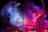 Everycom Q10 W Max