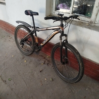 Velig 26 sotladi