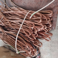 Mis olamiz laton alimen olamiz