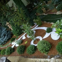 Yevro gazon tayor rulon ekamiz va urugidan sepamiz lanshat qilamiz 