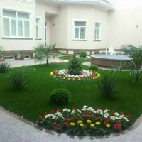 Yevro gazon tayor ruloni ekamiz va yevro uruglarin sepamiz lanshaft dizayin qilamiz