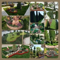 Газон екиш хизмати yevro gazon tayor ruloni ekamiz va yevro uruglarin sepamiz  l